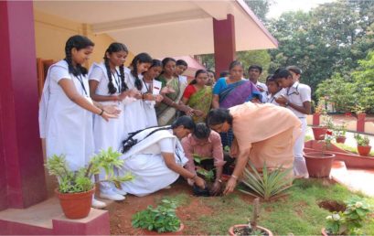 Environment Day